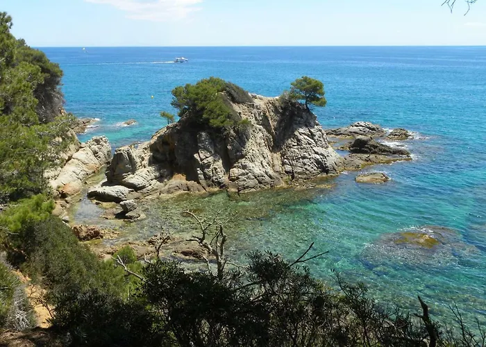 El Paradis Daire Lloret de Mar